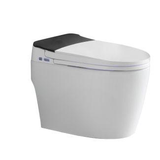 ACiQ Smart Toilet, One-Piece with Bidet, Auto Flush, Heated Seat, LED Display