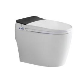 ACiQ Smart Toilet, ADA One-Piece with Bidet, Auto Flush, Heated Seat, LED Display