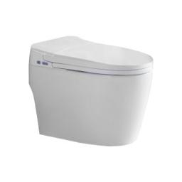 ACiQ Smart Toilet, ADA One-Piece with Bidet, Auto Flush, Heated Seat